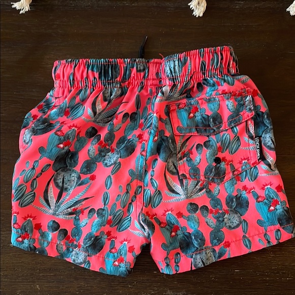 Lenox James Cactus Print Swim Shorts - Picture 2 of 3